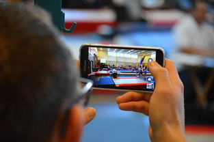 LEYU乐鱼体育官方网站-中国篮球联赛市场细分与营销研究，篮球联赛介绍