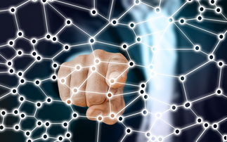 LEYU乐鱼体育官方网站-中国篮球联赛市场细分与营销研究,篮球联赛介绍 第2张 LEYU乐鱼体育官方网站-中国篮球联赛市场细分与营销研究,篮球联赛介绍 第2张