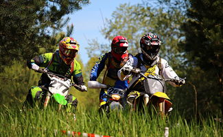 乐鱼体育App下载-印度队未来发展：从本土赛事到世界级竞技平台的蜕变，印度参赛人员