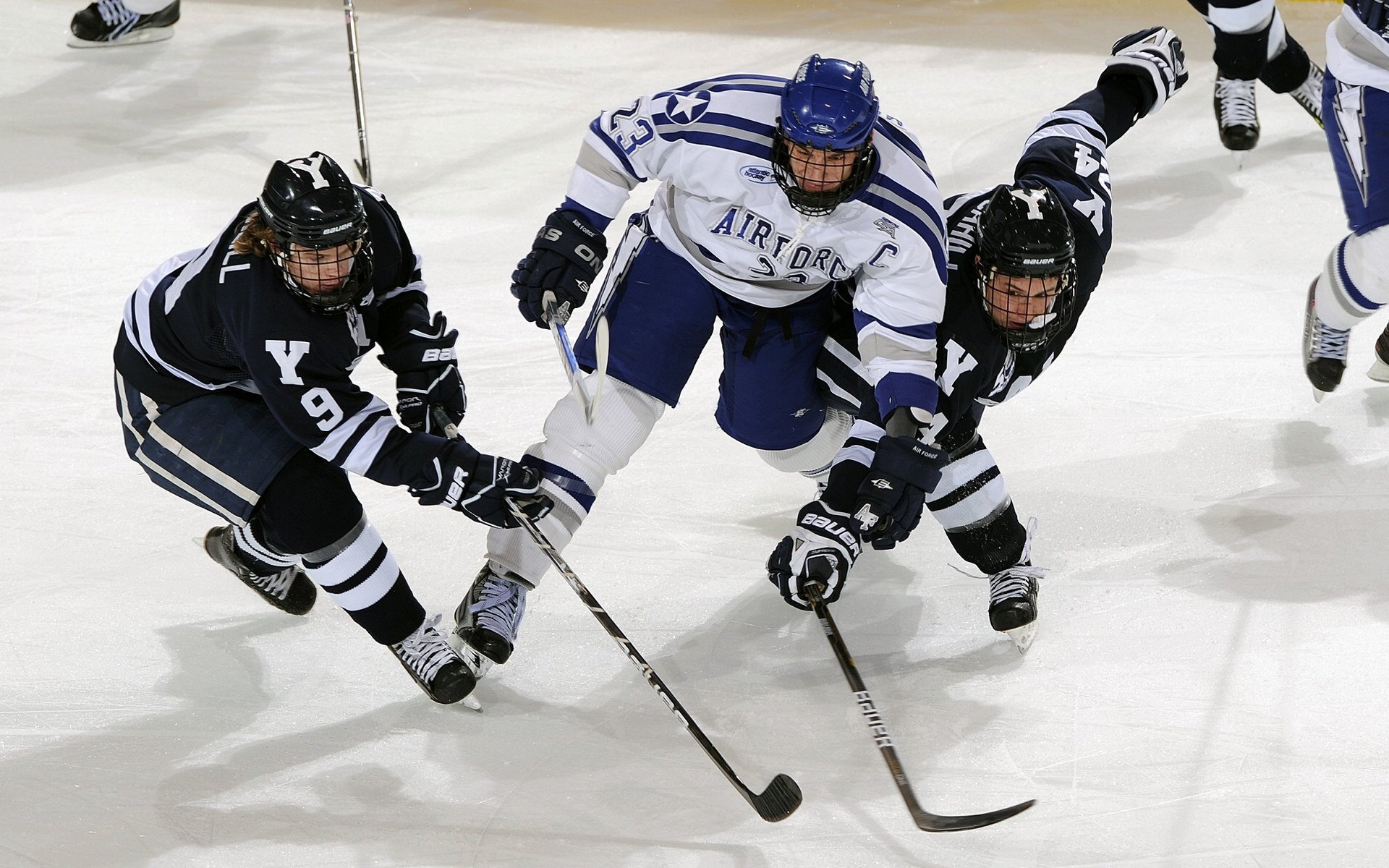 APP下载 LY Sports-国足将帅集体出席媒体开放日，国足新任主帅
