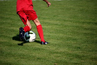 LeyuSports-鹈鹕青训体系被评为联盟样板项目，鹈鹕原来是哪个队